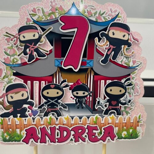 Ninja Girls Cake Topper
